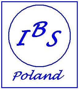 LOGO IBS Group Poland
